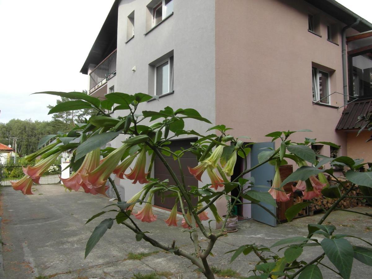 Villa Banita Ustka Exteriör bild