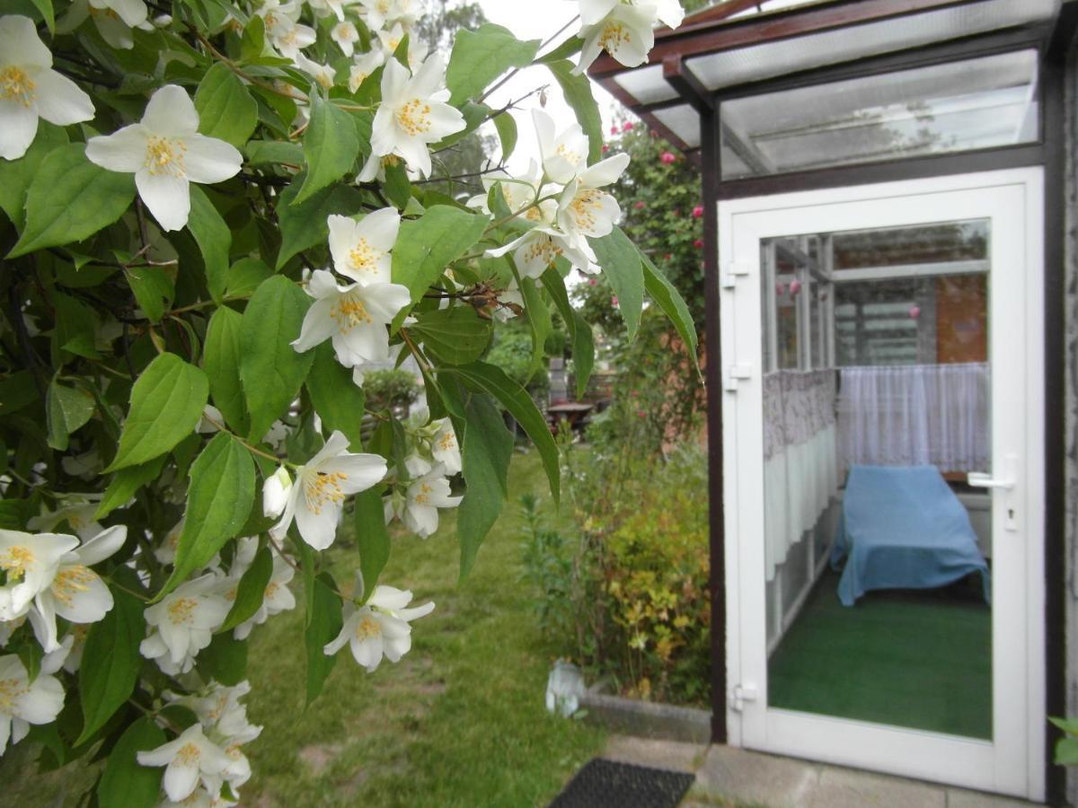Villa Banita Ustka Exteriör bild