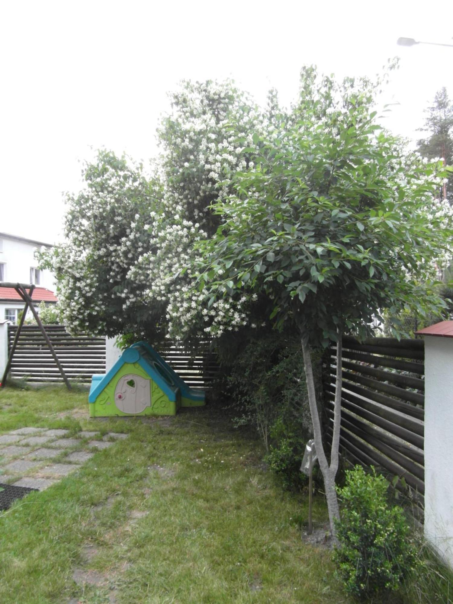 Villa Banita Ustka Exteriör bild