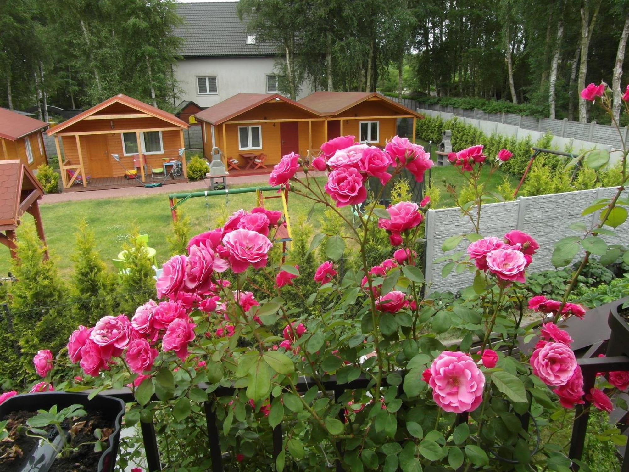 Villa Banita Ustka Exteriör bild